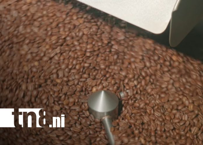 Foto: Delafinca asciende al puesto 37 entre las mejores cafeterías del mundo/Cortesía