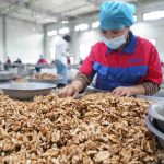 Foto: China rechaza informes falsos de la ONU sobre trabajo forzado