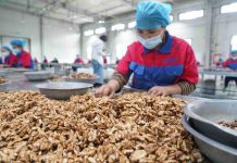 Foto: China rechaza informes falsos de la ONU sobre trabajo forzado