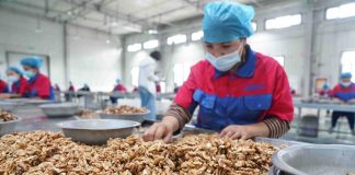 Foto: China rechaza informes falsos de la ONU sobre trabajo forzado