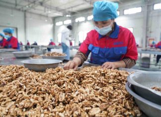 Foto: China rechaza informes falsos de la ONU sobre trabajo forzado