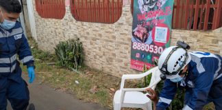 Foto: Motociclista impacta microbús al atender su celular en Managua / TN8