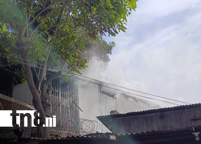 Foto:Incendio moviliza a Bomberos Unidos en barrio Altagracia/ TN8