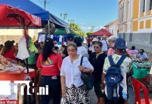Granada vive temporada turística histórica: afluencia ‘nunca antes vista’ Foto: Negocios y hoteles en Granada celebran récord de visitantes /TN8