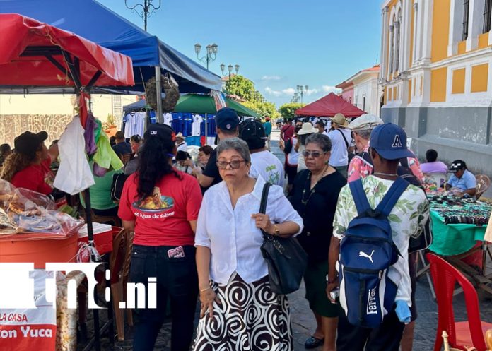 Foto: Negocios y hoteles en Granada celebran récord de visitantes /TN8