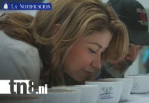 Foto: ¡Del campo a la taza! La historia del café nicaragüense que conquista 57 países/TN8