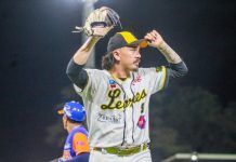 En su guarida, Leones se adelantan en la Serie Final de la APBN leones, león, apbn,