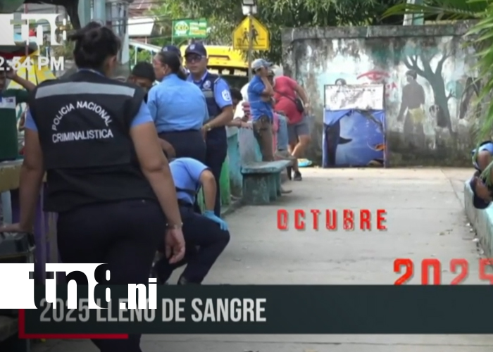 Foto: Un 2025 de luto: sucesos que estremecieron al Caribe Sur/TN8