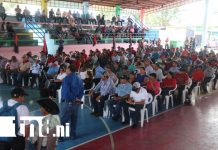 Ganadería del Caribe Norte se fortalece con acompañamiento directo del IPSA Foto: IPSA lidera esfuerzos para proteger la ganadería del Caribe Norte /TN8