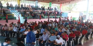 Foto: IPSA lidera esfuerzos para proteger la ganadería del Caribe Norte /TN8