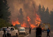 Foto: Incendio forestal en Argentina moviliza a 500 brigadistas /Cortesía