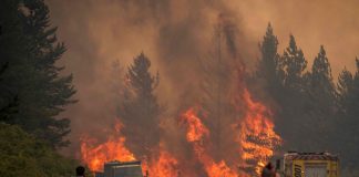 Foto: Incendio forestal en Argentina moviliza a 500 brigadistas /Cortesía