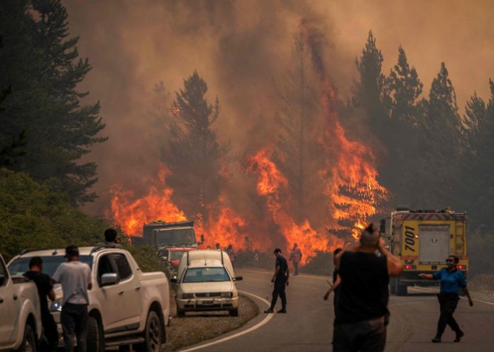 Foto: Incendio forestal en Argentina moviliza a 500 brigadistas /Cortesía