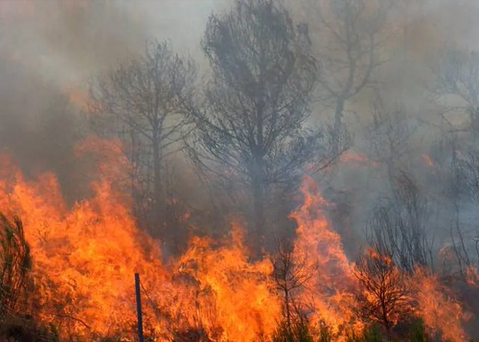 Foto: Incendio forestal en Argentina moviliza a 500 brigadistas /Cortesía