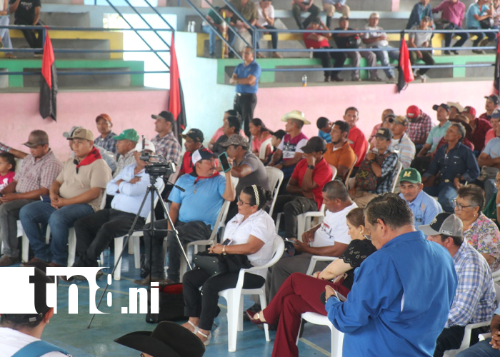 Foto: IPSA lidera esfuerzos para proteger la ganadería del Caribe Norte /TN8