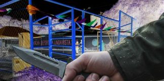 Foto: Violento ataque en Linda Vista deja a un hombre gravemente herido/TN8