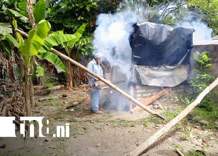 Foto: Limpieza por el medio ambiente en la Isla de Ometepe / TN8