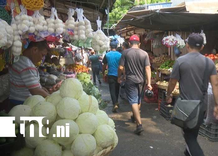 Foto: Precios de la canasta básica de Nicaragua / TN8