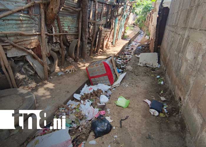 Foto: Botadero ilegal de basura en el barrio Bertilda Obregario, en Managua / TN8