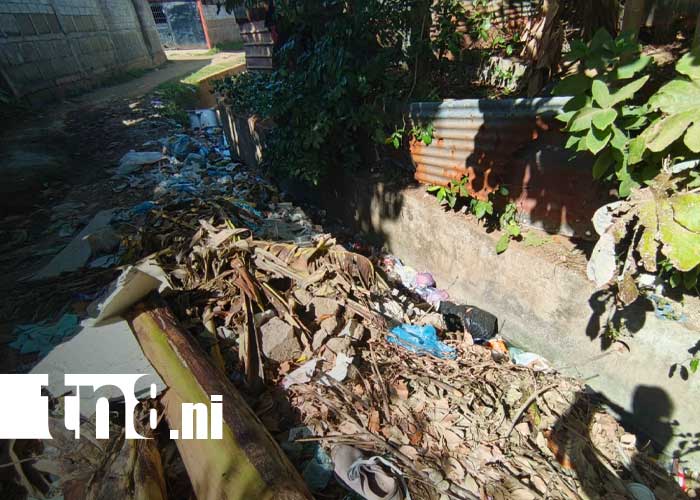 Foto: Botadero ilegal de basura en el barrio Bertilda Obregario, en Managua / TN8