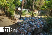 ¡Tufalera y zancudero! Ya no aguantan botadero ilegal en barrio del D-III de Managua Foto: Botadero ilegal de basura en el barrio Bertilda Obregario, en Managua / TN8