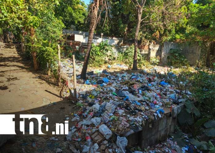 Foto: Botadero ilegal de basura en el barrio Bertilda Obregario, en Managua / TN8 Foto: Botadero ilegal de basura en el barrio Bertilda Obregario, en Managua / TN8
