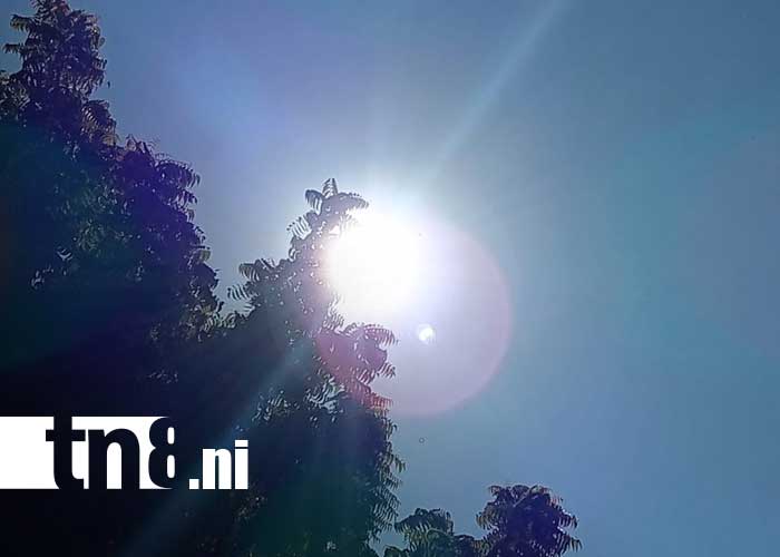 Foto: Pronóstico del clima en Nicaragua / TN8