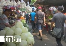 Foto: Mercados de Managua y productos de la canasta básica / TN8
