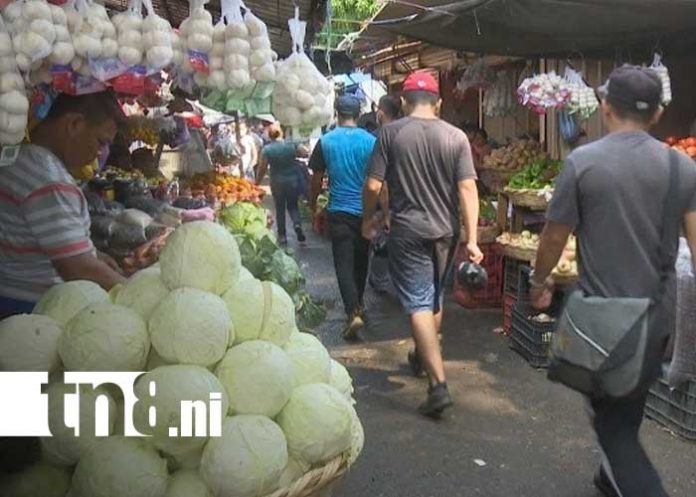 Foto: Mercados de Managua y productos de la canasta básica / TN8
