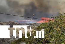 Por tercera vez consecutiva, La Chureca se incendia en Managua Foto: Incendio en La Chureca, Managua / TN8