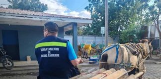 Foto: Multa por botar basura en Ciudad Sandino, Managua / TN8