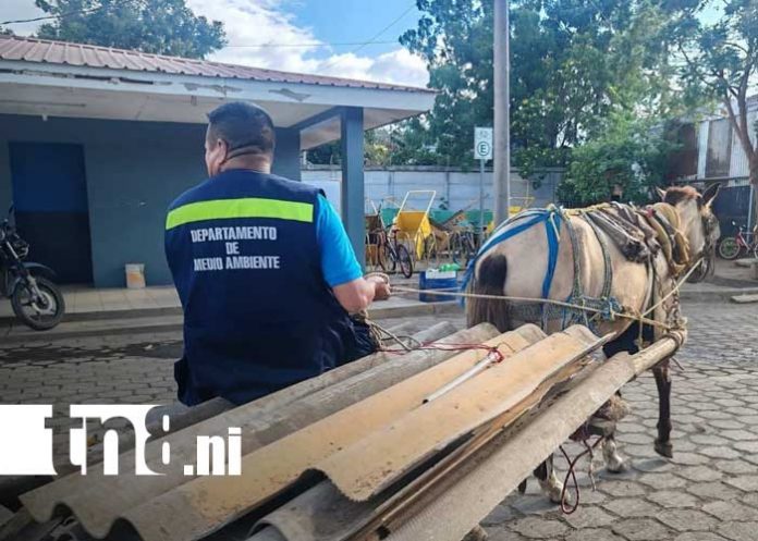 Foto: Multa por botar basura en Ciudad Sandino, Managua / TN8