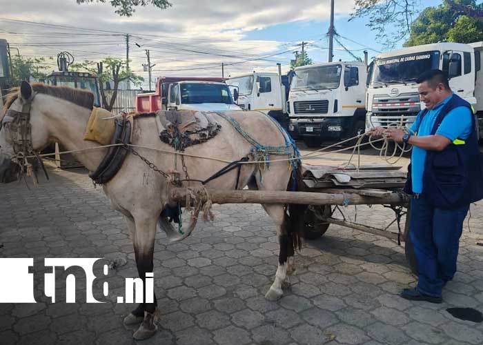 Foto: Multa por botar basura en Ciudad Sandino, Managua / TN8