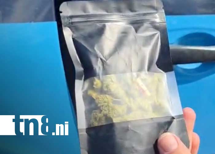 Foto: Distribución de marihuana en Managua / TN8
