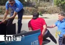 Capturado en Managua: No era repartidor, era expendedor de marihuana a domicilio Foto: Distribución de marihuana en Managua / TN8