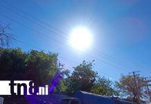 Foto: Semana de calor intenso y fuertes vientos en Nicaragua /TN8