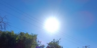 Foto: Semana de calor intenso y fuertes vientos en Nicaragua /TN8