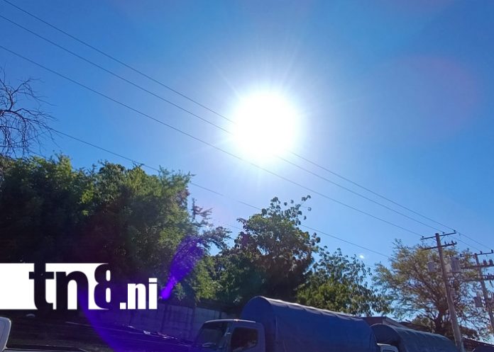 Foto: Semana de calor intenso y fuertes vientos en Nicaragua /TN8 Foto: Semana de calor intenso y fuertes vientos en Nicaragua /TN8