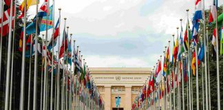 Foto: ONU expresa “profunda preocupación” por agresión a Venezuela /Cortesía