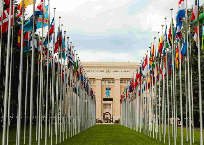 Foto: ONU expresa “profunda preocupación” por agresión a Venezuela /Cortesía