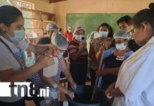 Foto: Capacitaciones a emprendimientos en Ometepe / TN8