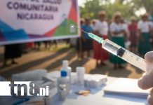 Foto: Anuncio de mega ferias de salud en Nicaragua / TN8