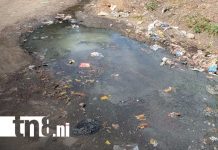 Foto: Mal olor en Laureles Norte, Managua / TN8