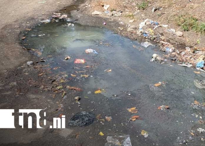 Foto: Mal olor en Laureles Norte, Managua / TN8