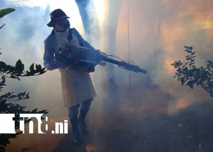 Foto: Fumigación en barrios de Managua / TN8 Foto: Fumigación en barrios de Managua / TN8