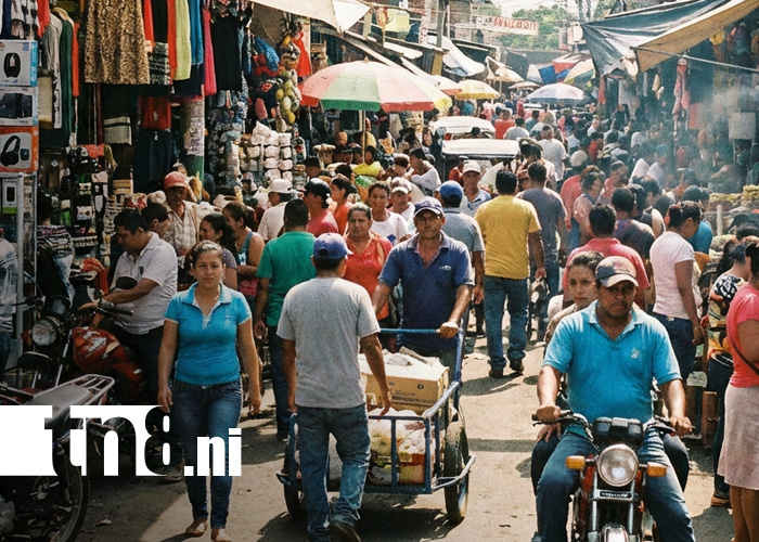Foto: Exportaciones siguen creciendo en Nicaragua, dinamizando la economía / TN8