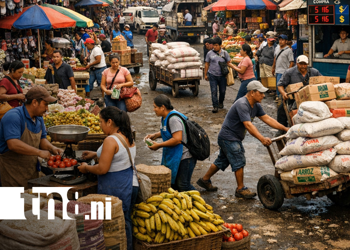 Foto: Exportaciones siguen creciendo en Nicaragua, dinamizando la economía / TN8