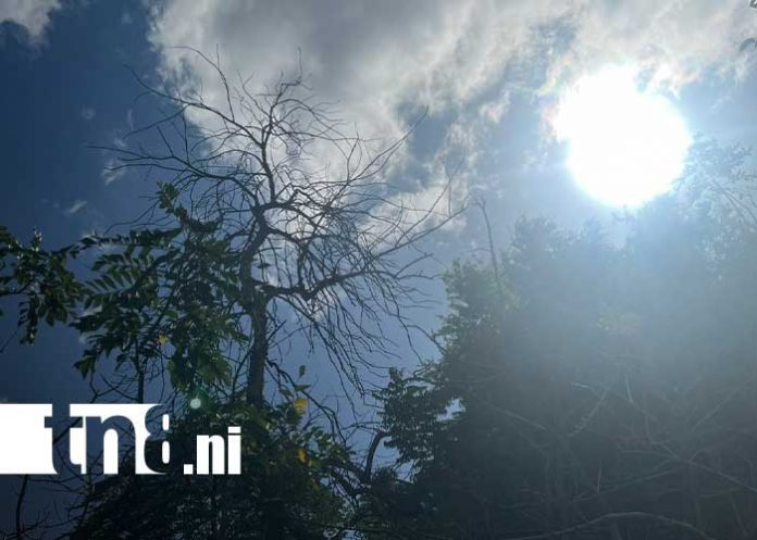 Foto: Pronóstico del clima en Nicaragua / TN8