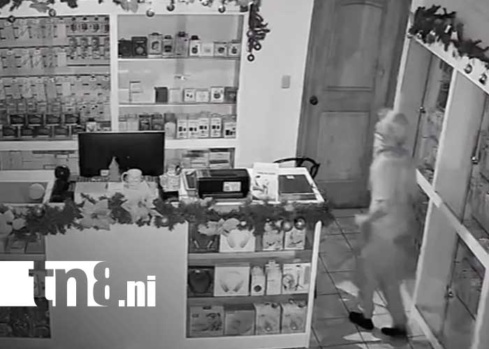 Foto: Robo en una tienda de Estelí / TN8