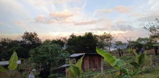Foto: Homicidio en Las Uvas, Jalapa: adolescente defiende a su madre/TN8